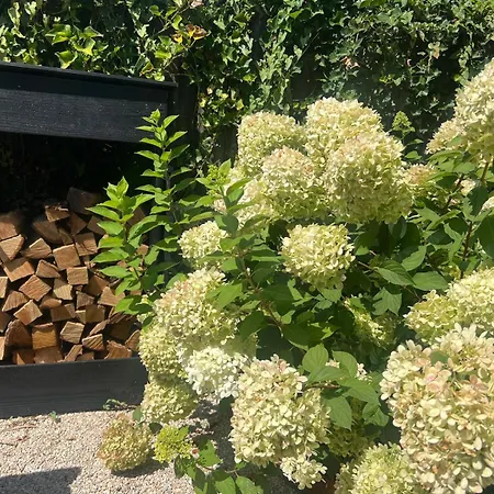 Het Aan Het Water In Hottub & Sauna *